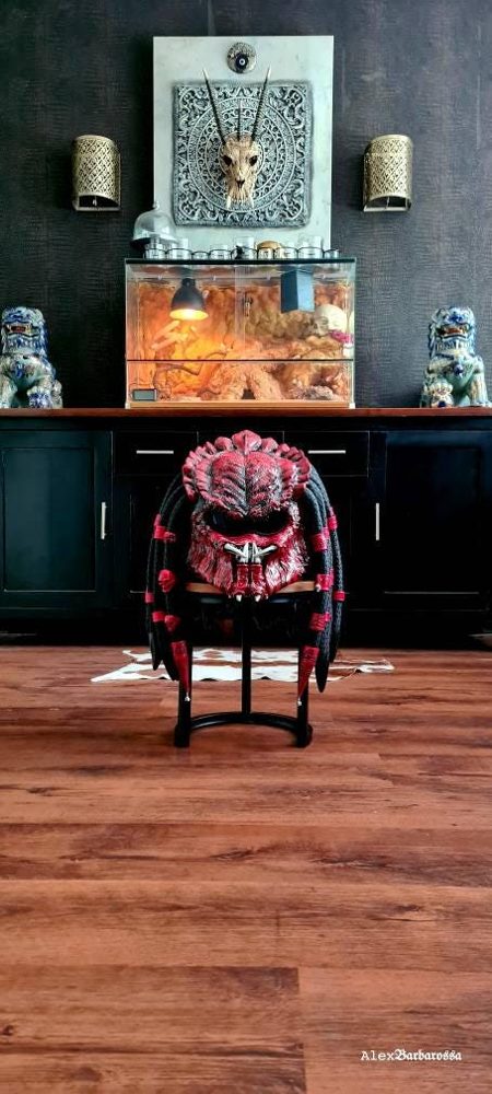Customer photo of Predator motorcycle helmet